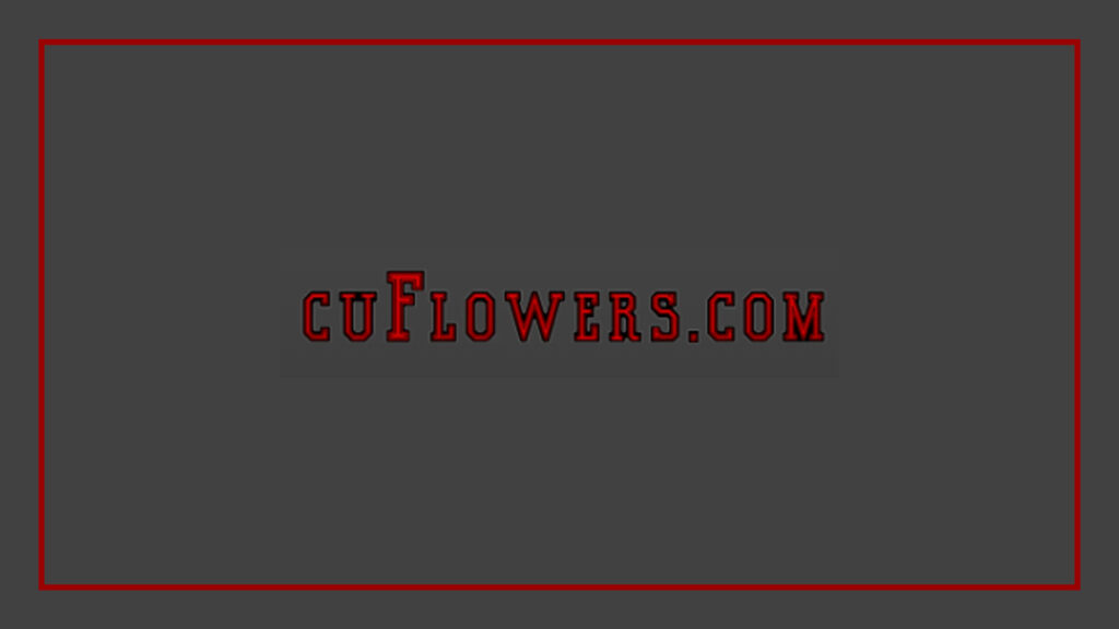 christines-flower-shop-logo
