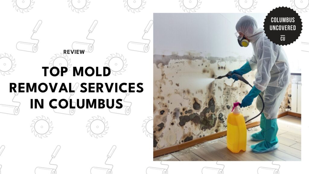 The 5 Best Mold Removal Services in Columbus You Can Trust For A Thorough Cleanup
