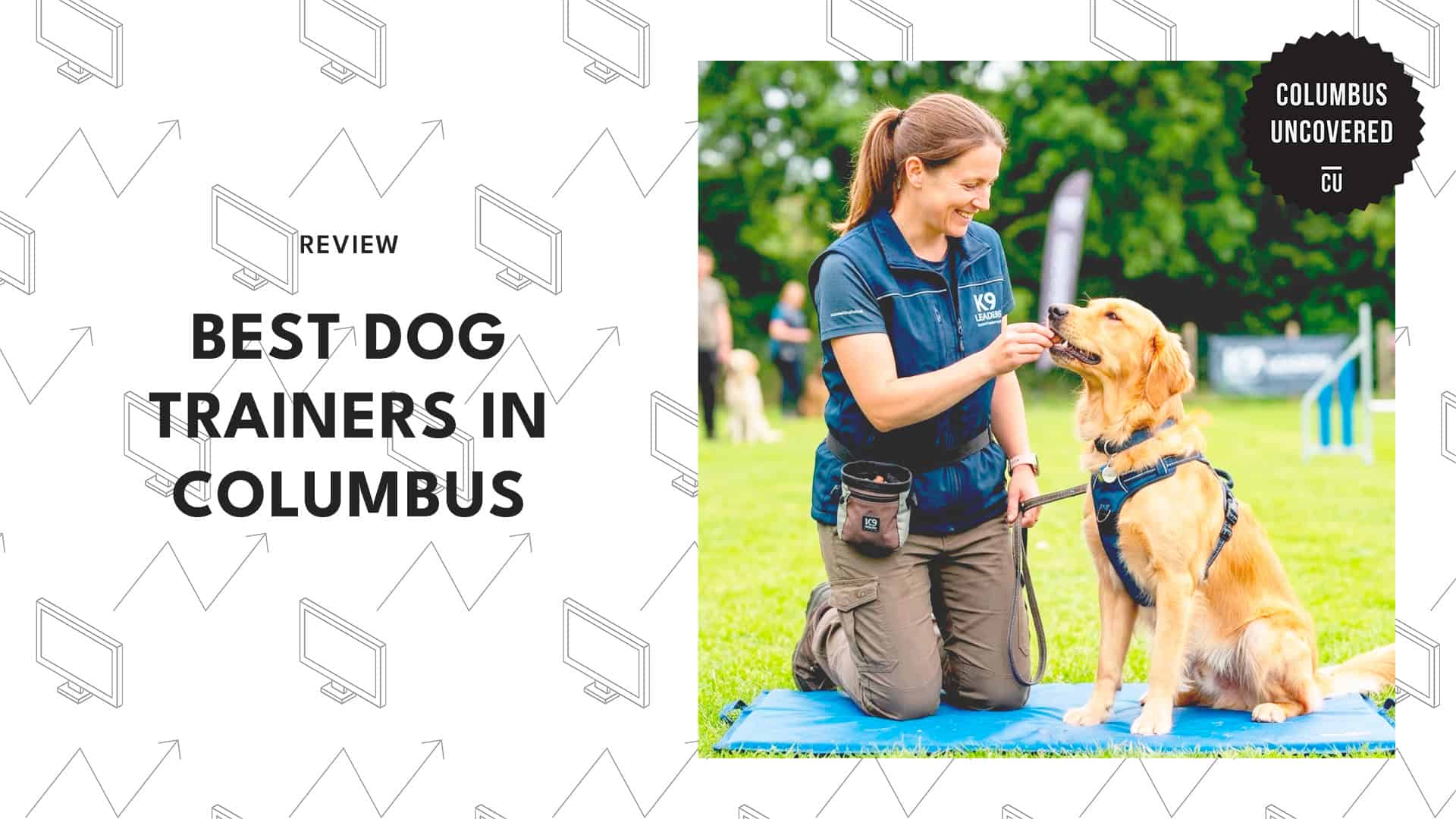 dog-trainers-in-columbus