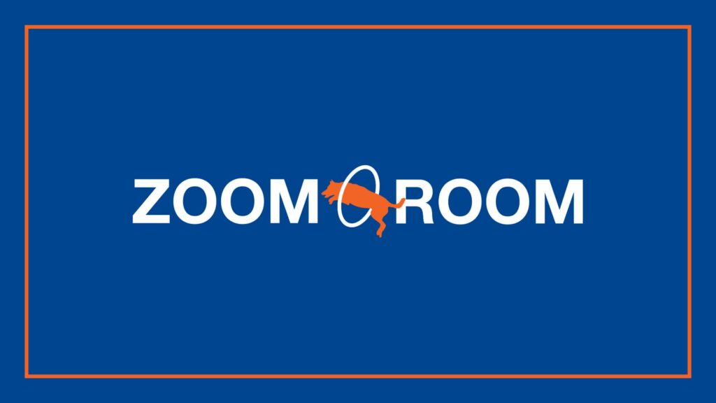 zoom-room-dog-training