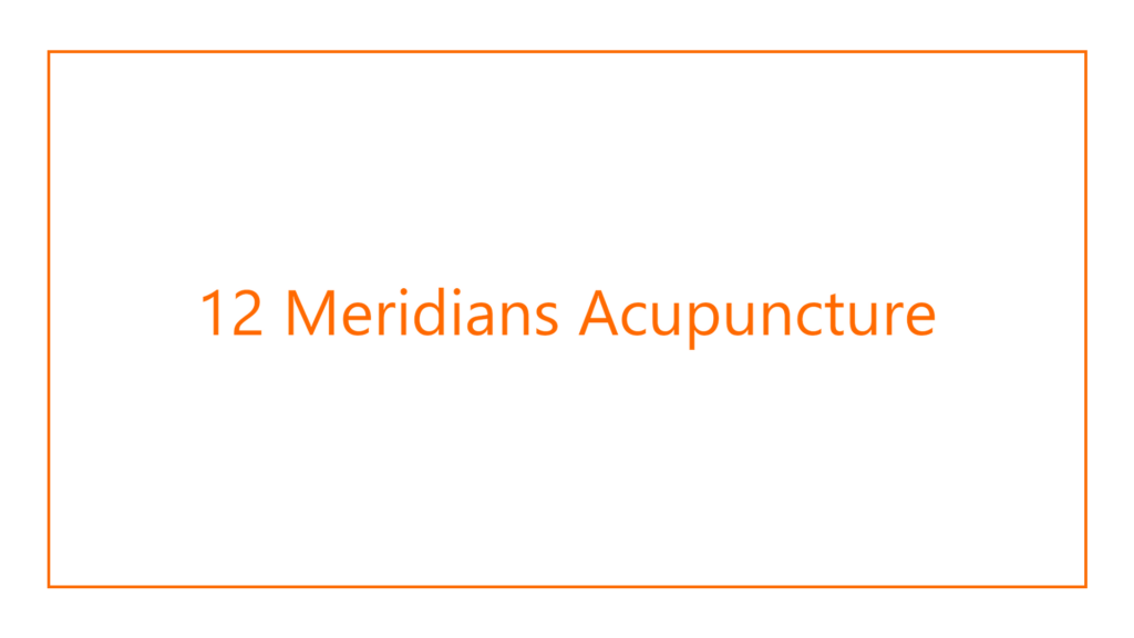 12-meridians-acupuncture-logo