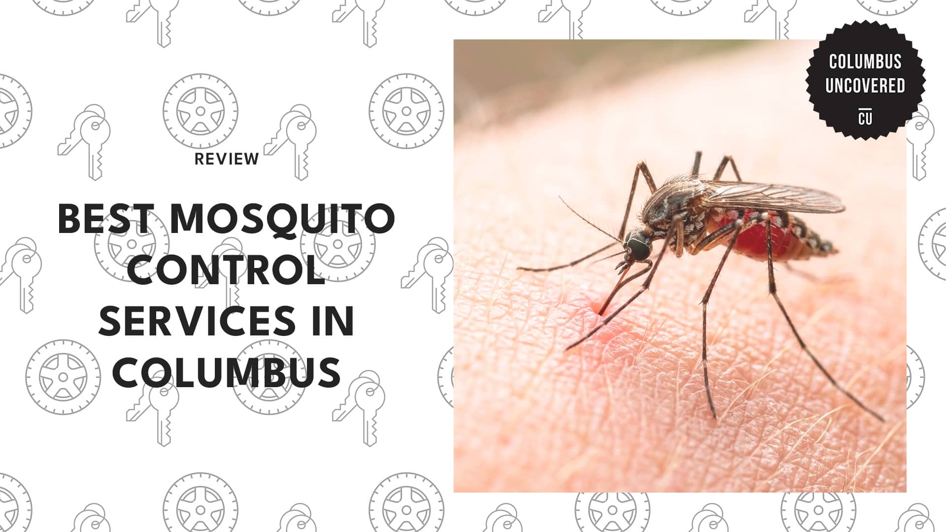 best-mosquito-control-columbus-banner