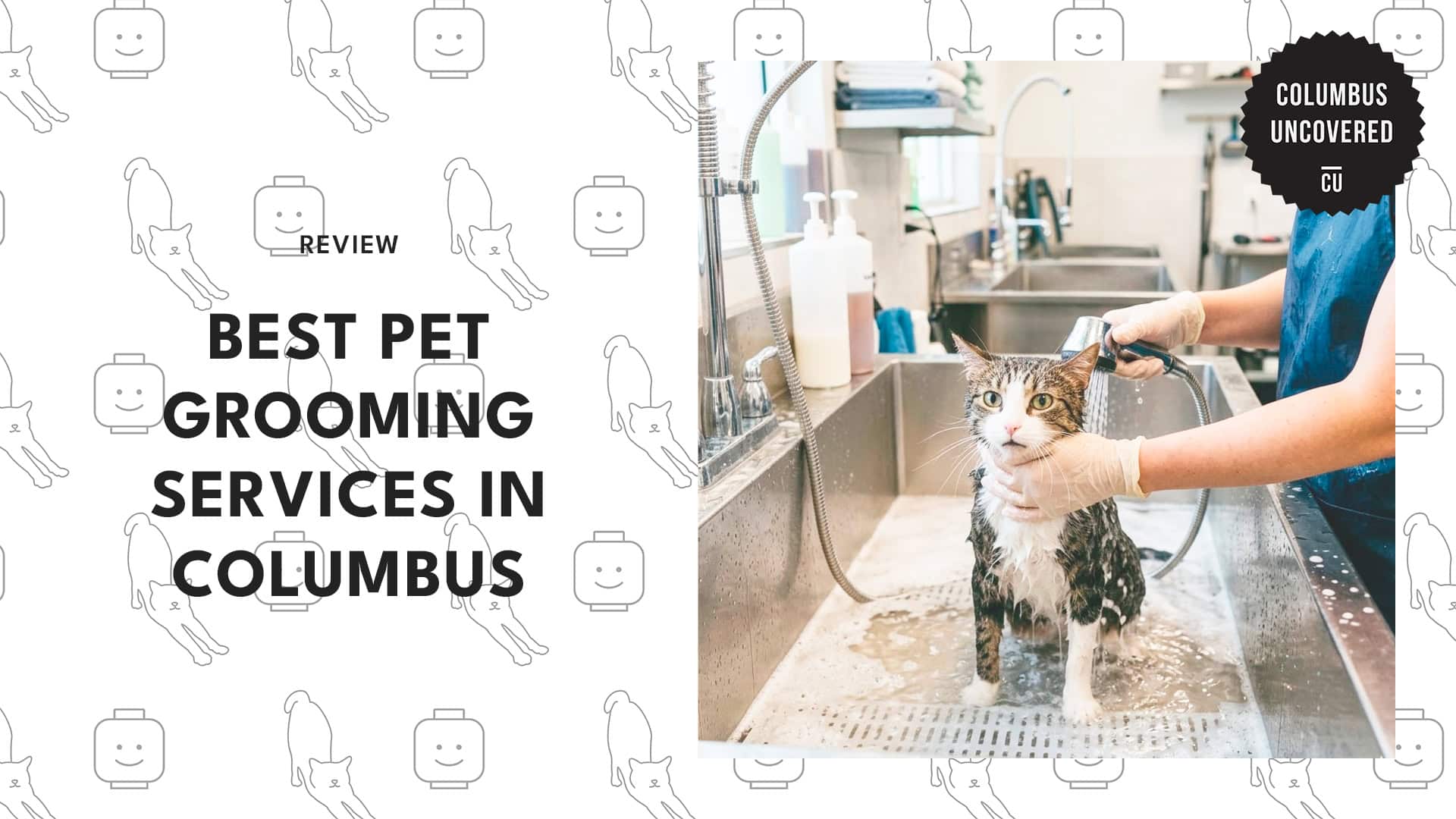 best-pet-grooming-columbus-banner