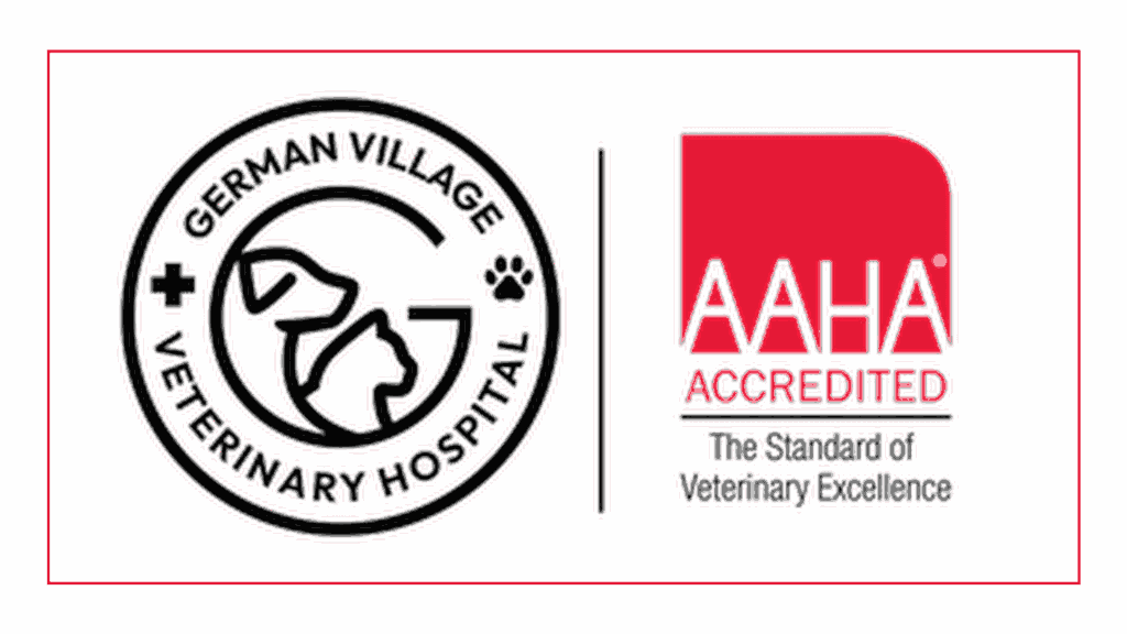 german-village-veterinary-hospital