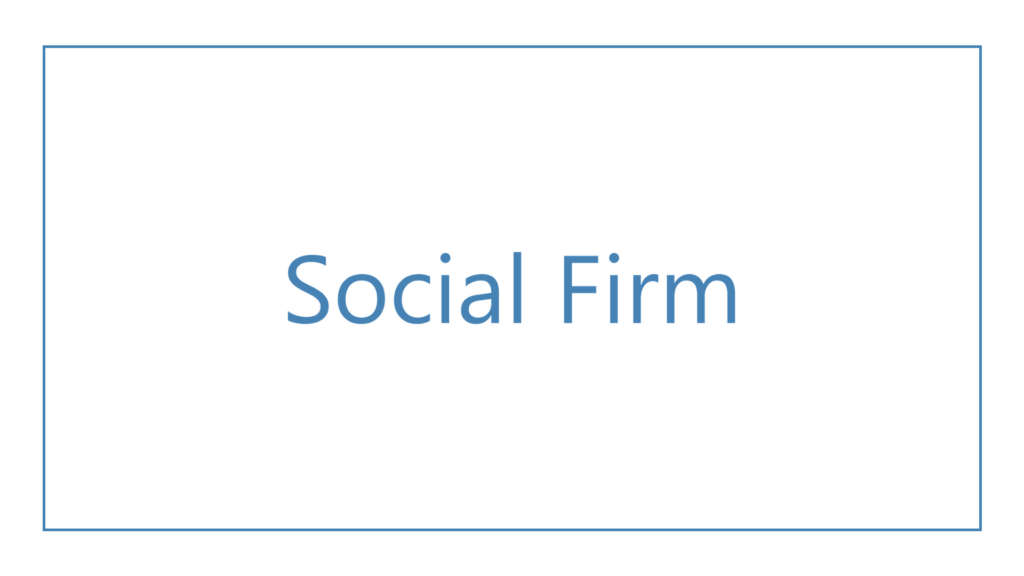 social-firm-logo