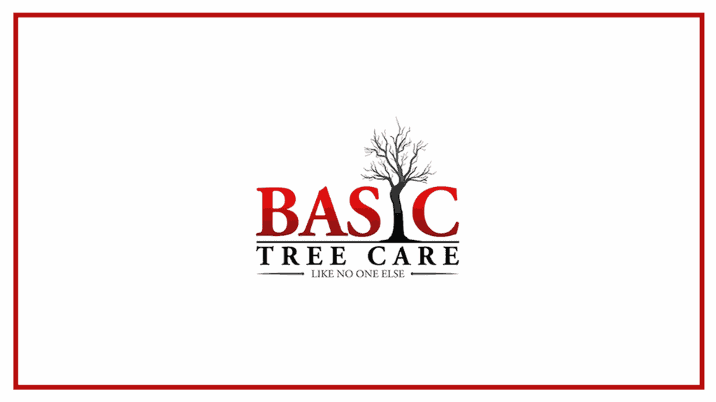 basic-tree-care