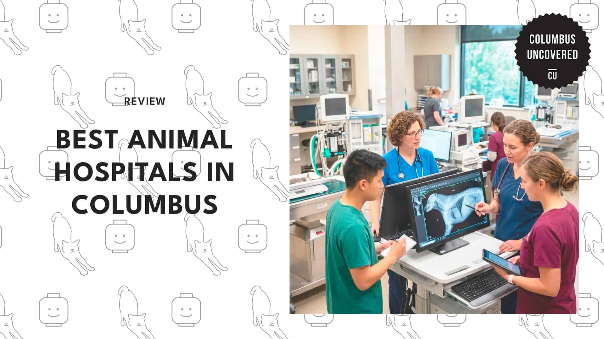 best-animal-hospitals-columbus