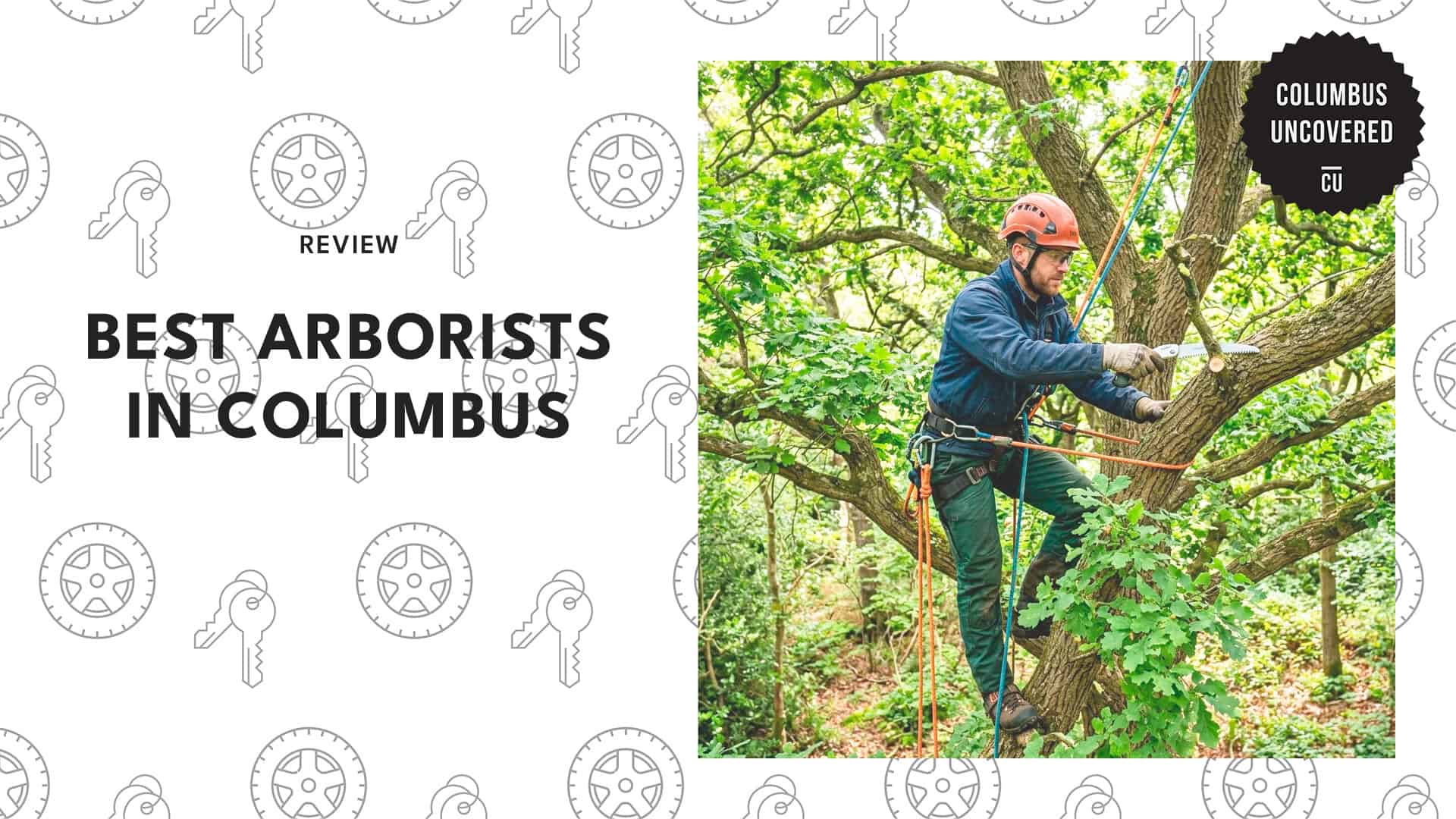 best-arborists-columbus-banner