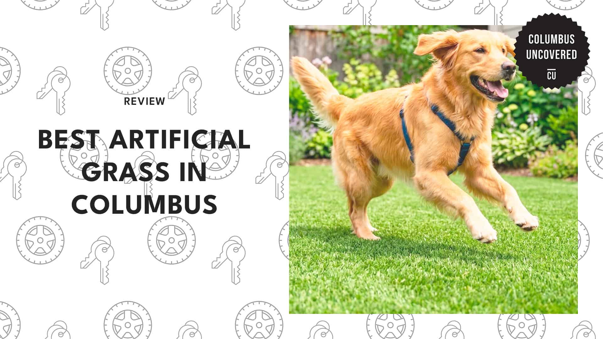 best-artificial-grass-columbus
