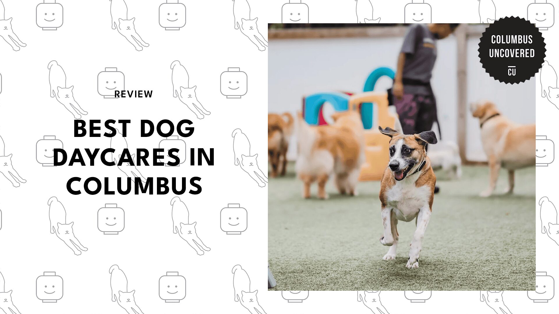 best-dog-daycares-columbus
