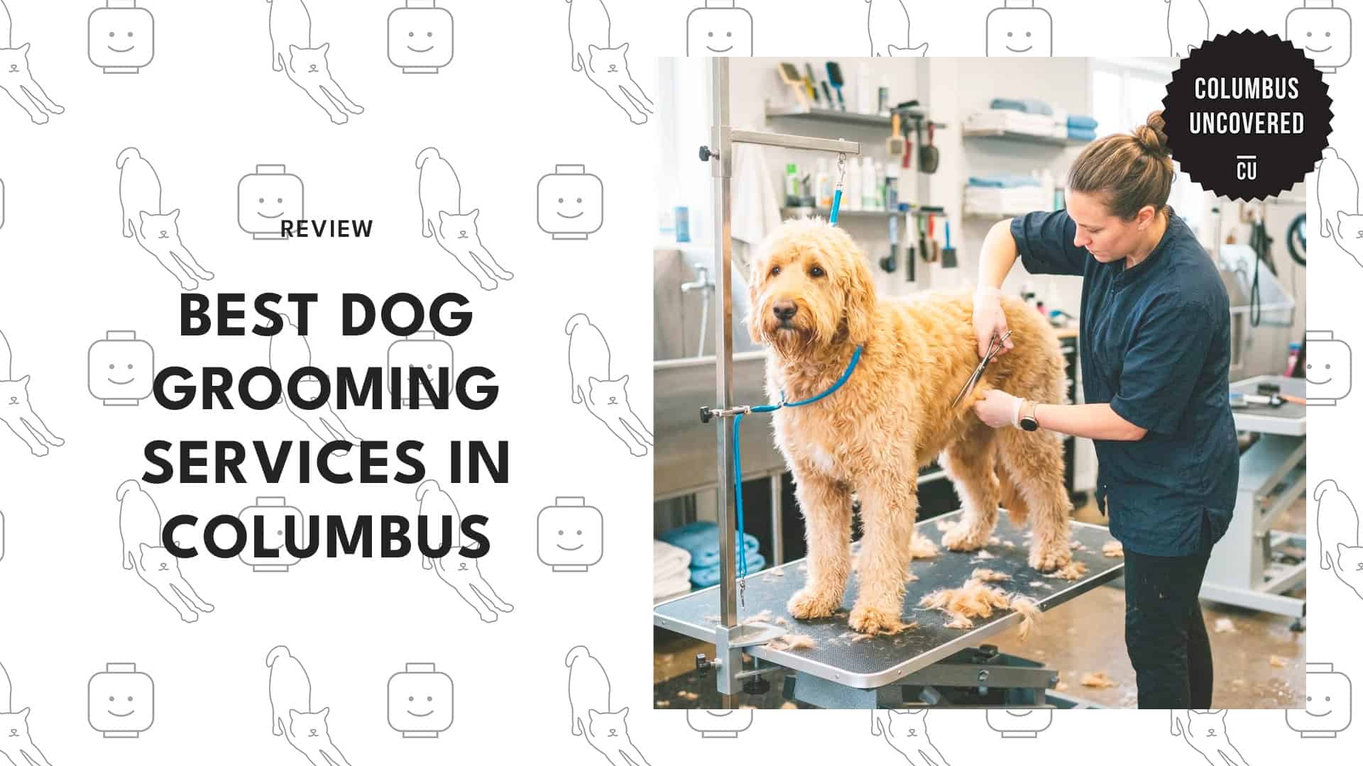 best-dog-grooming-columbus