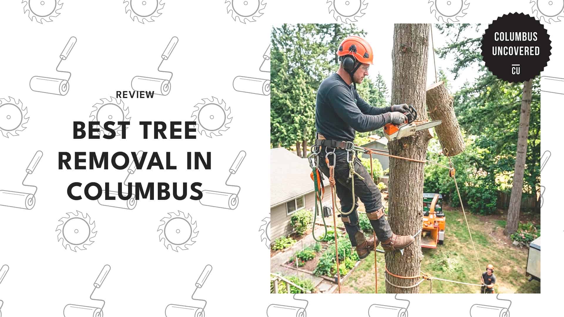 best-tree-removal-columbus