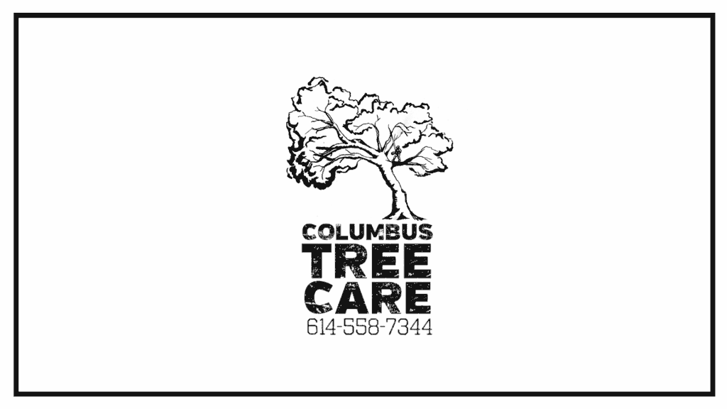 columbus-tree-care