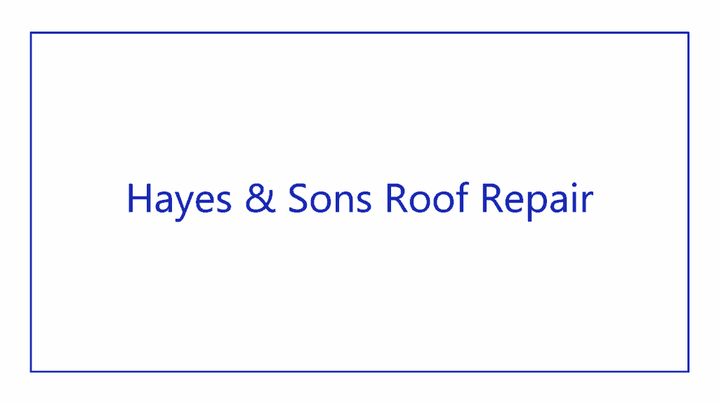 hayes-sons-roof-repair