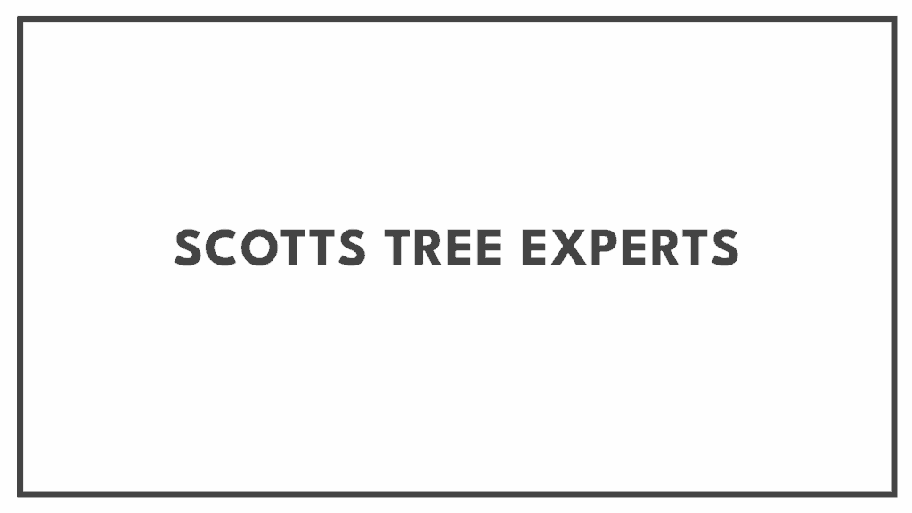 scotts-tree-experts