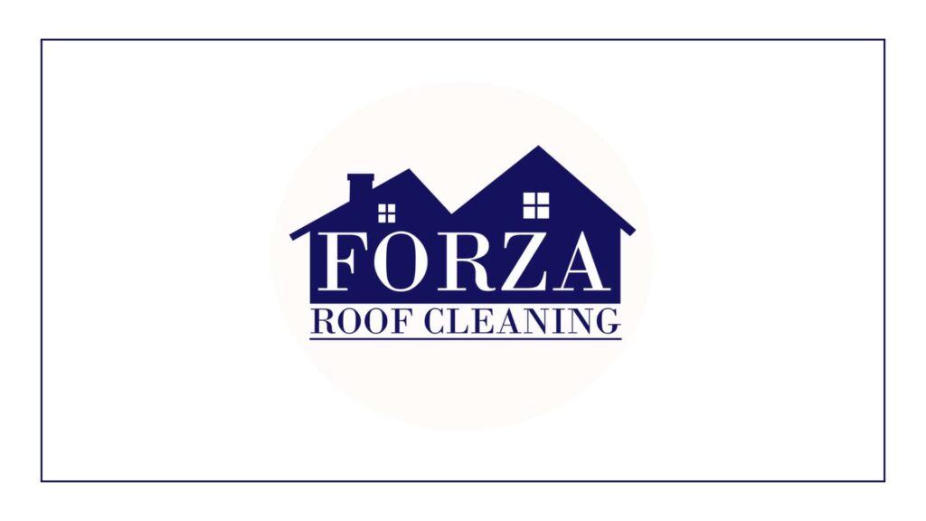 forza-roof-cleaning
