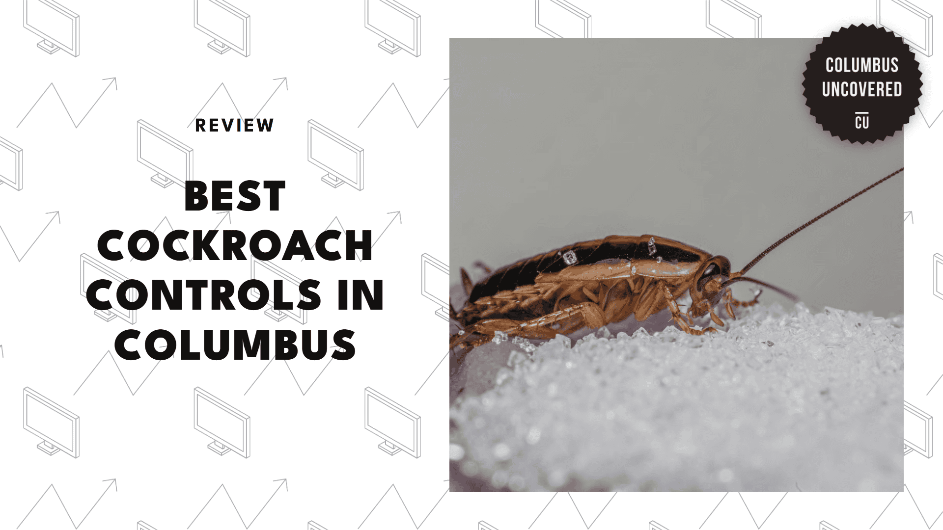best-cockroach-control-columbus