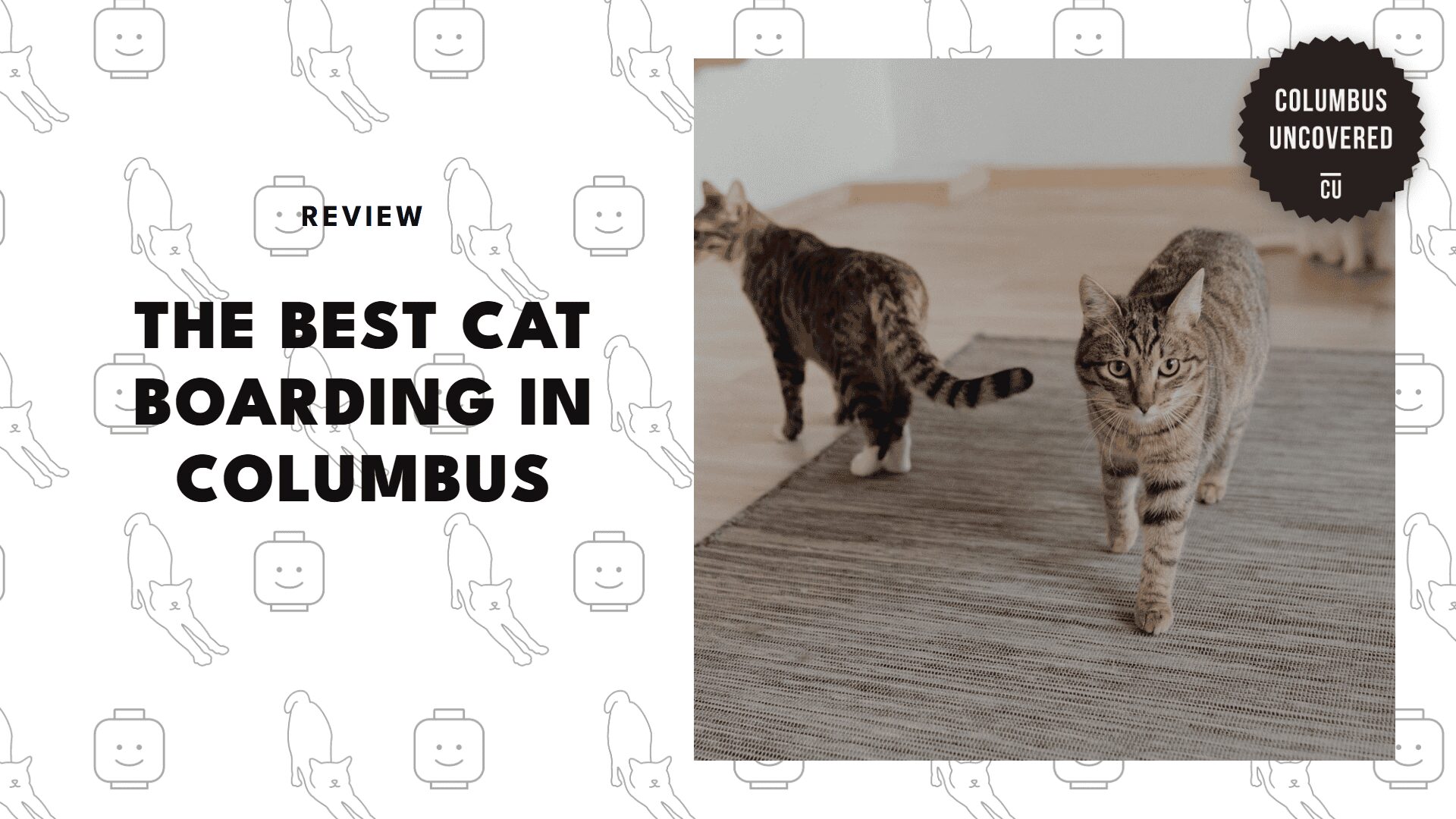cat-boarding-options-in-columbus